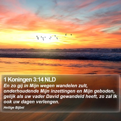 1 Koningen 3:14 NLD Bible Verse Image