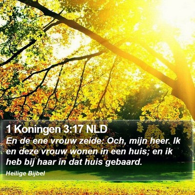1 Koningen 3:17 NLD Bible Verse Image