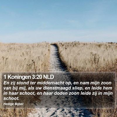 1 Koningen 3:20 NLD Bible Verse Image