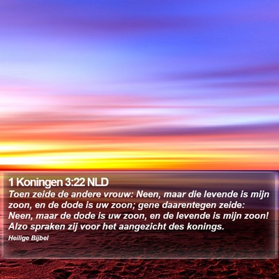 1 Koningen 3:22 NLD Bible Verse Image