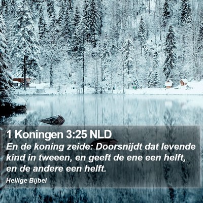 1 Koningen 3:25 NLD Bible Verse Image