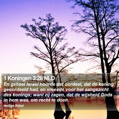1 Koningen 3:28 NLD Bible Verse Image