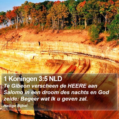 1 Koningen 3:5 NLD Bible Verse Image