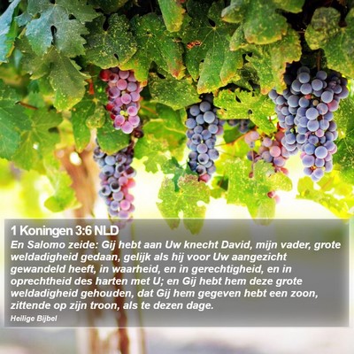1 Koningen 3:6 NLD Bible Verse Image