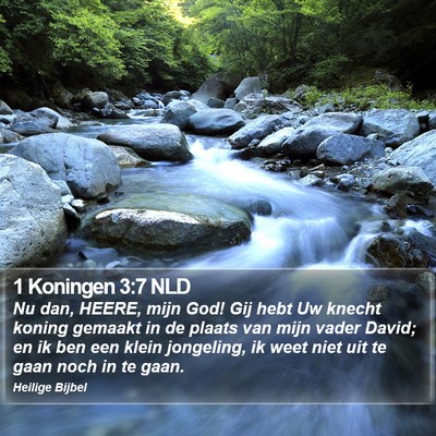 1 Koningen 3:7 NLD Bible Verse Image