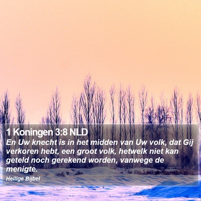 1 Koningen 3:8 NLD Bible Verse Image