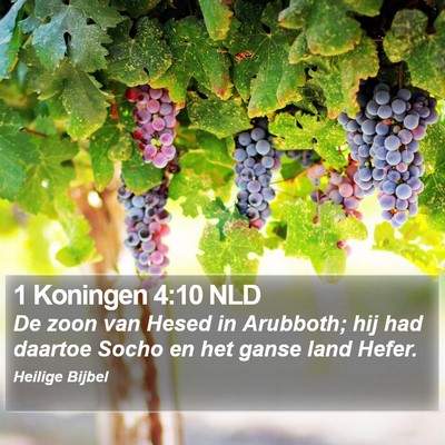 1 Koningen 4:10 NLD Bible Verse Image