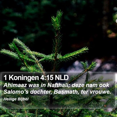 1 Koningen 4:15 NLD Bible Verse Image