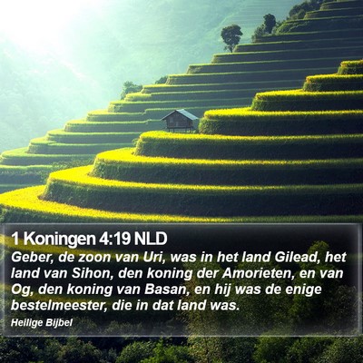 1 Koningen 4:19 NLD Bible Verse Image