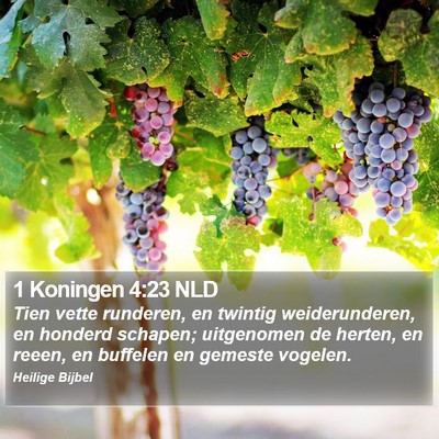 1 Koningen 4:23 NLD Bible Verse Image