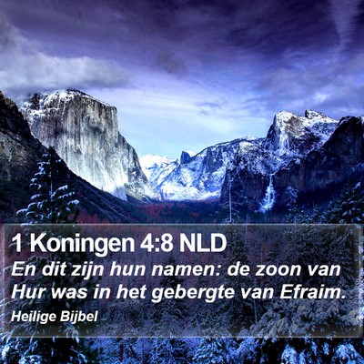 1 Koningen 4:8 NLD Bible Verse Image