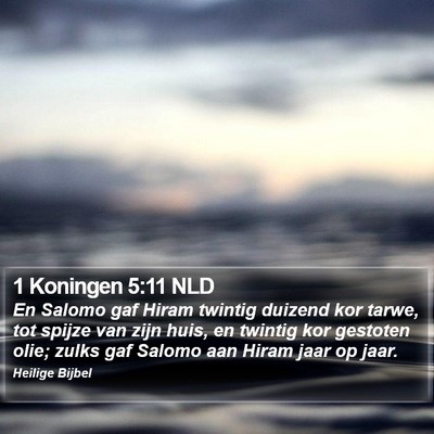 1 Koningen 5:11 NLD Bible Verse Image