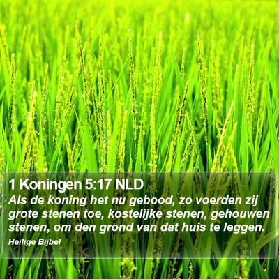 1 Koningen 5:17 NLD Bible Verse Image