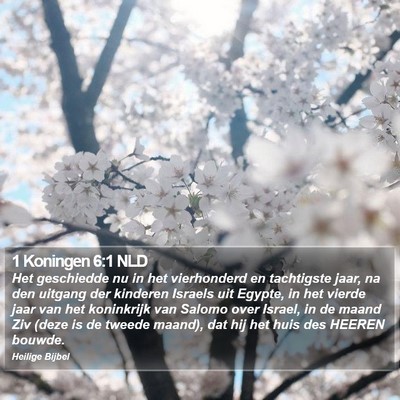 1 Koningen 6:1 NLD Bible Verse Image
