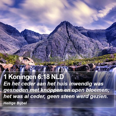 1 Koningen 6:18 NLD Bible Verse Image
