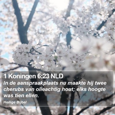 1 Koningen 6:23 NLD Bible Verse Image