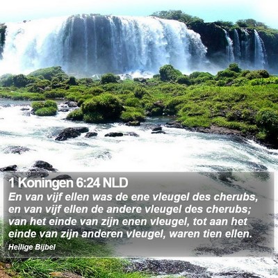 1 Koningen 6:24 NLD Bible Verse Image