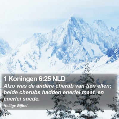 1 Koningen 6:25 NLD Bible Verse Image