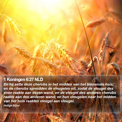 1 Koningen 6:27 NLD Bible Verse Image