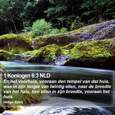1 Koningen 6:3 NLD Bible Verse Image