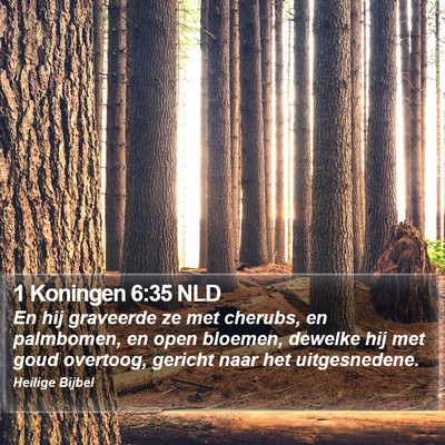 1 Koningen 6:35 NLD Bible Verse Image