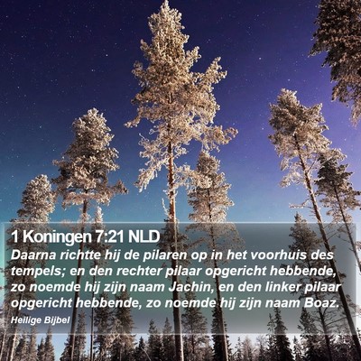 1 Koningen 7:21 NLD Bible Verse Image