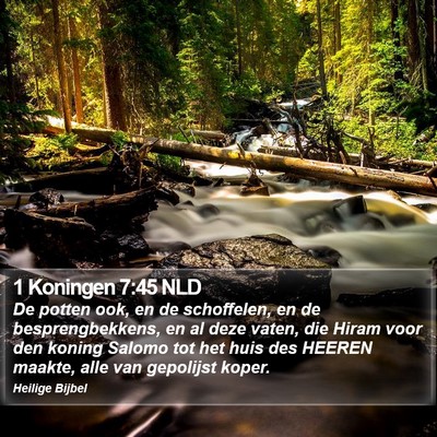 1 Koningen 7:45 NLD Bible Verse Image
