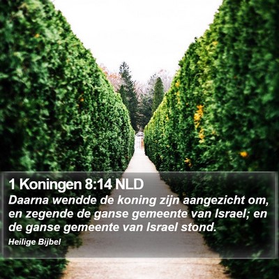 1 Koningen 8:14 NLD Bible Verse Image