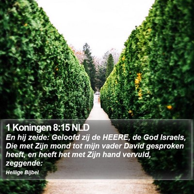 1 Koningen 8:15 NLD Bible Verse Image
