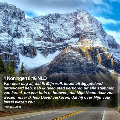 1 Koningen 8:16 NLD Bible Verse Image