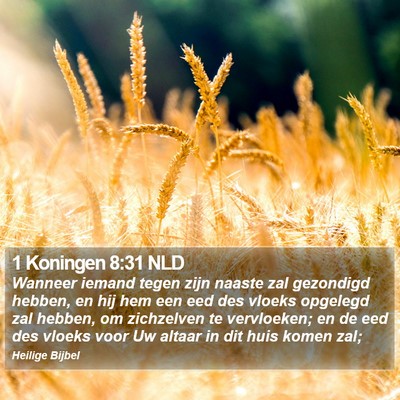 1 Koningen 8:31 NLD Bible Verse Image