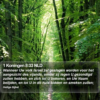 1 Koningen 8:33 NLD Bible Verse Image