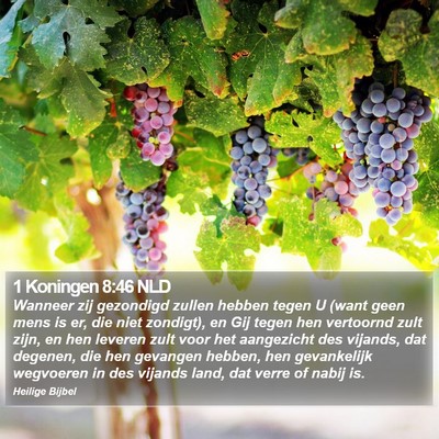 1 Koningen 8:46 NLD Bible Verse Image