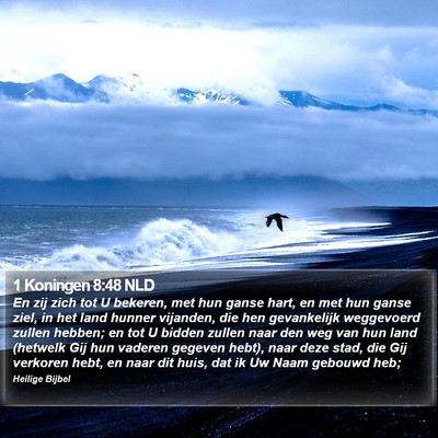 1 Koningen 8:48 NLD Bible Verse Image