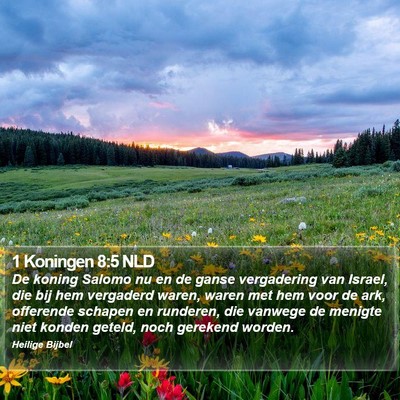 1 Koningen 8:5 NLD Bible Verse Image