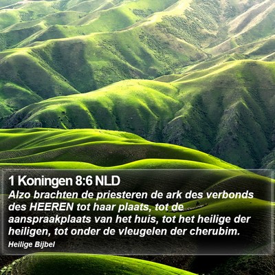 1 Koningen 8:6 NLD Bible Verse Image