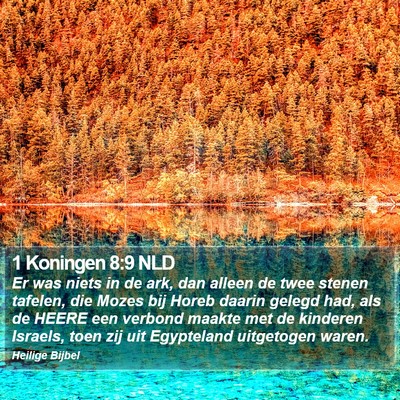1 Koningen 8:9 NLD Bible Verse Image