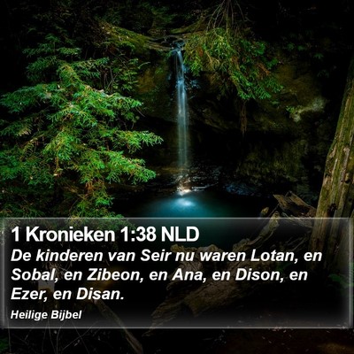 1 Kronieken 1:38 NLD Bible Verse Image