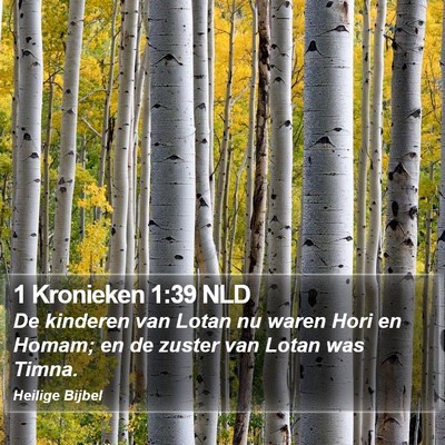 1 Kronieken 1:39 NLD Bible Verse Image