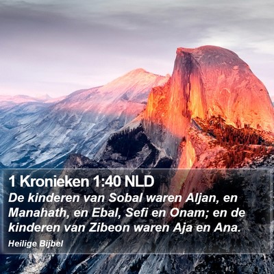 1 Kronieken 1:40 NLD Bible Verse Image