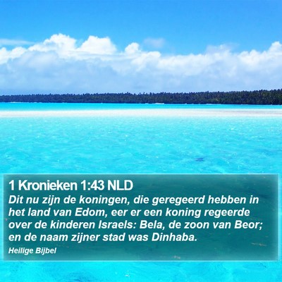 1 Kronieken 1:43 NLD Bible Verse Image