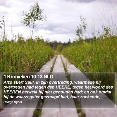 1 Kronieken 10:13 NLD Bible Verse Image