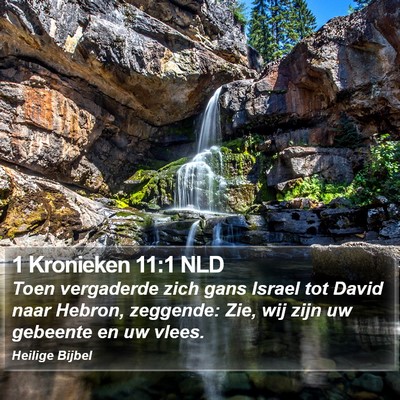 1 Kronieken 11:1 NLD Bible Verse Image