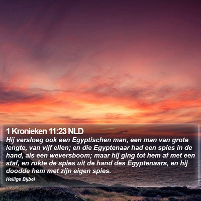 1 Kronieken 11:23 NLD Bible Verse Image