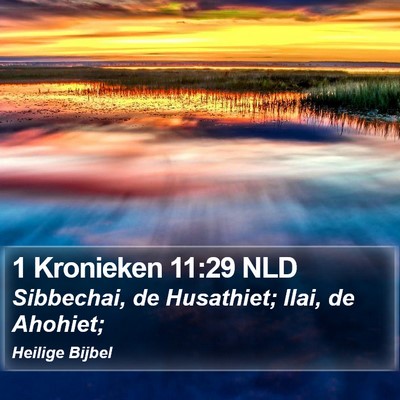 1 Kronieken 11:29 NLD Bible Verse Image