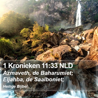 1 Kronieken 11:33 NLD Bible Verse Image