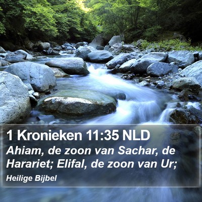 1 Kronieken 11:35 NLD Bible Verse Image
