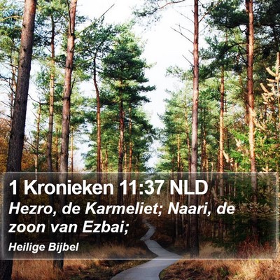 1 Kronieken 11:37 NLD Bible Verse Image