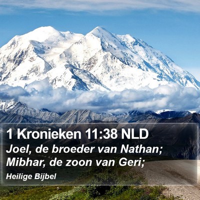 1 Kronieken 11:38 NLD Bible Verse Image