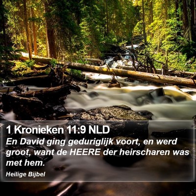 1 Kronieken 11:9 NLD Bible Verse Image